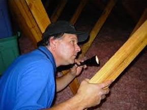 Attic Inspection